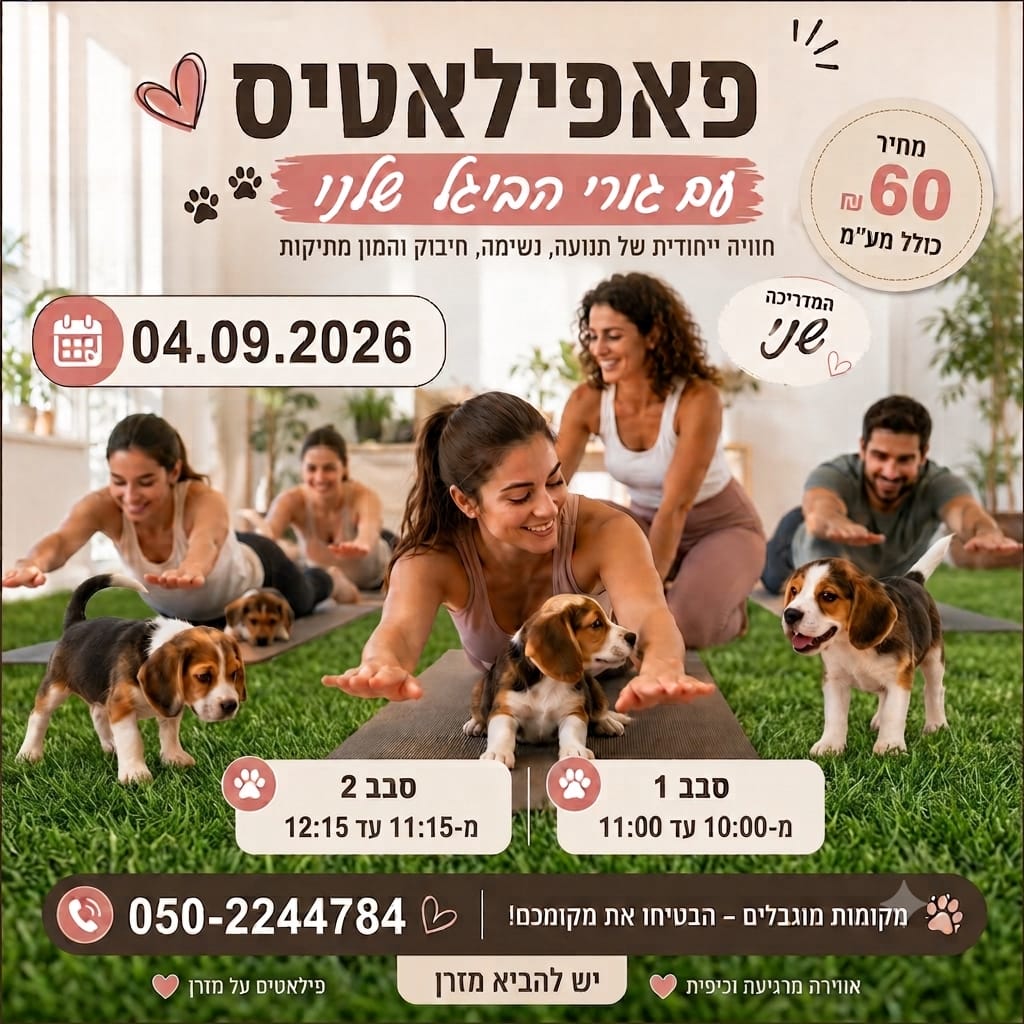 פאפילאטיס סבב ראשון