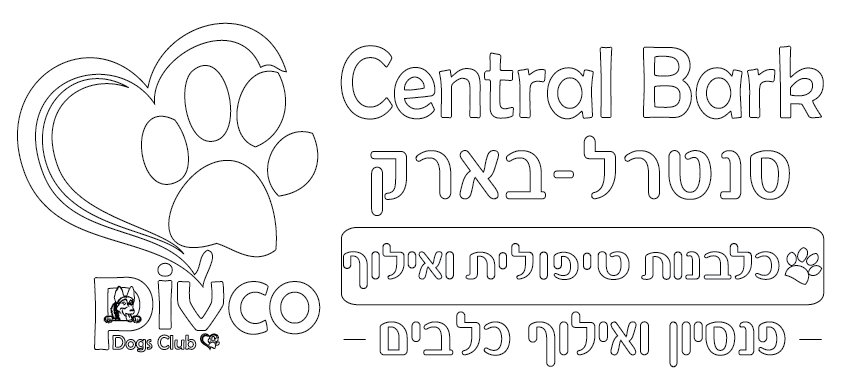 סנטרל בארק - אריק פיבקו