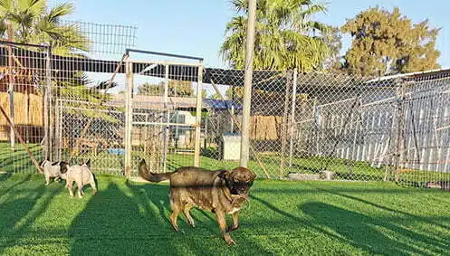 תמונת פנסיון סנטרל בארק