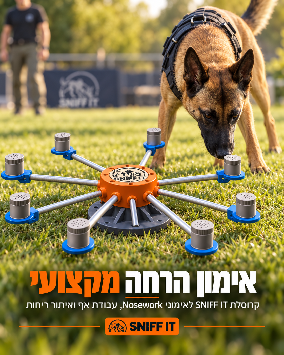 תמונה 2 של קרוסלת הרחה
