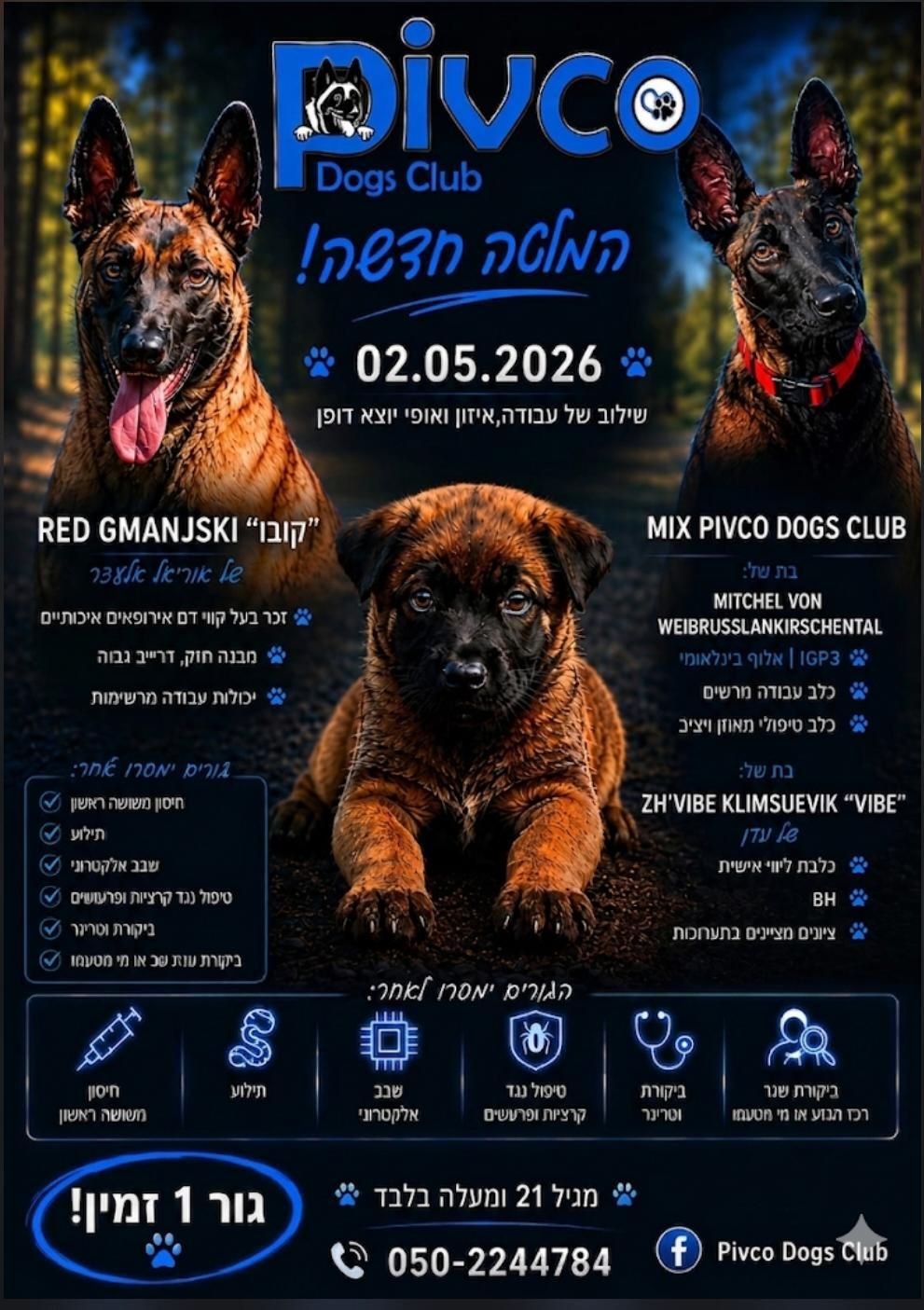 Pivco Dogs Club