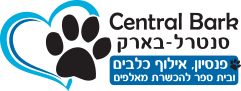 רקע