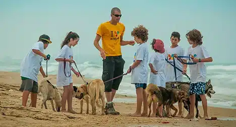 רקע