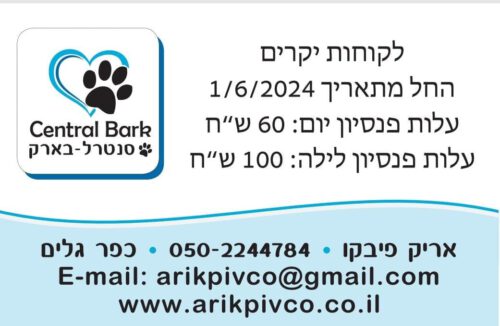 רקע