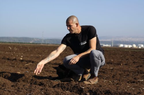 אימון גישוש