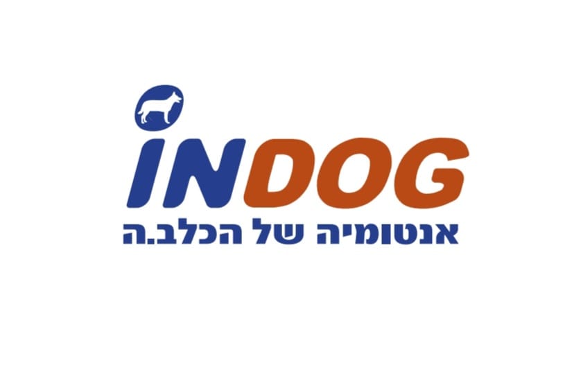 אינדוג